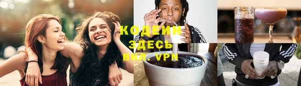 крисы Абаза