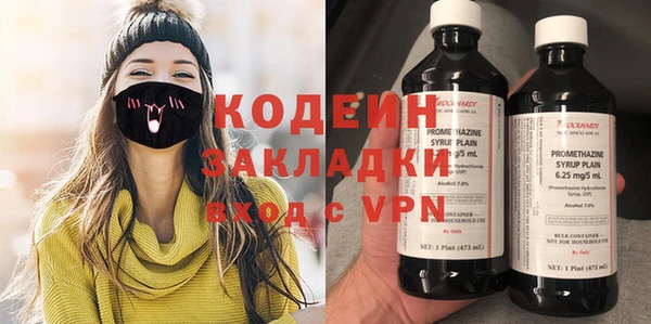 крисы Абаза