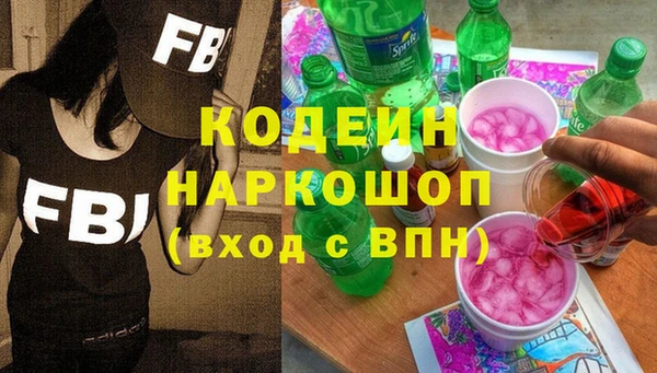 крисы Абаза