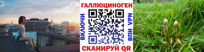 хочу наркоту  Райчихинск  Псилоцибиновые грибы прущие грибы 